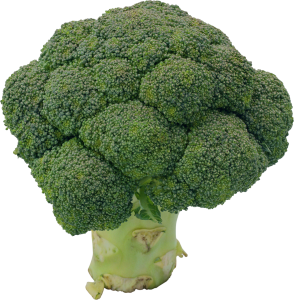 Broccoli PNG-72935